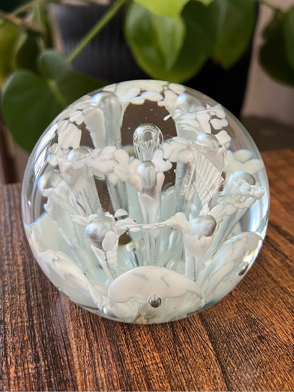 Joe Zimmerman White Flowers Paperweight